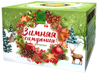 Зимняя симфония